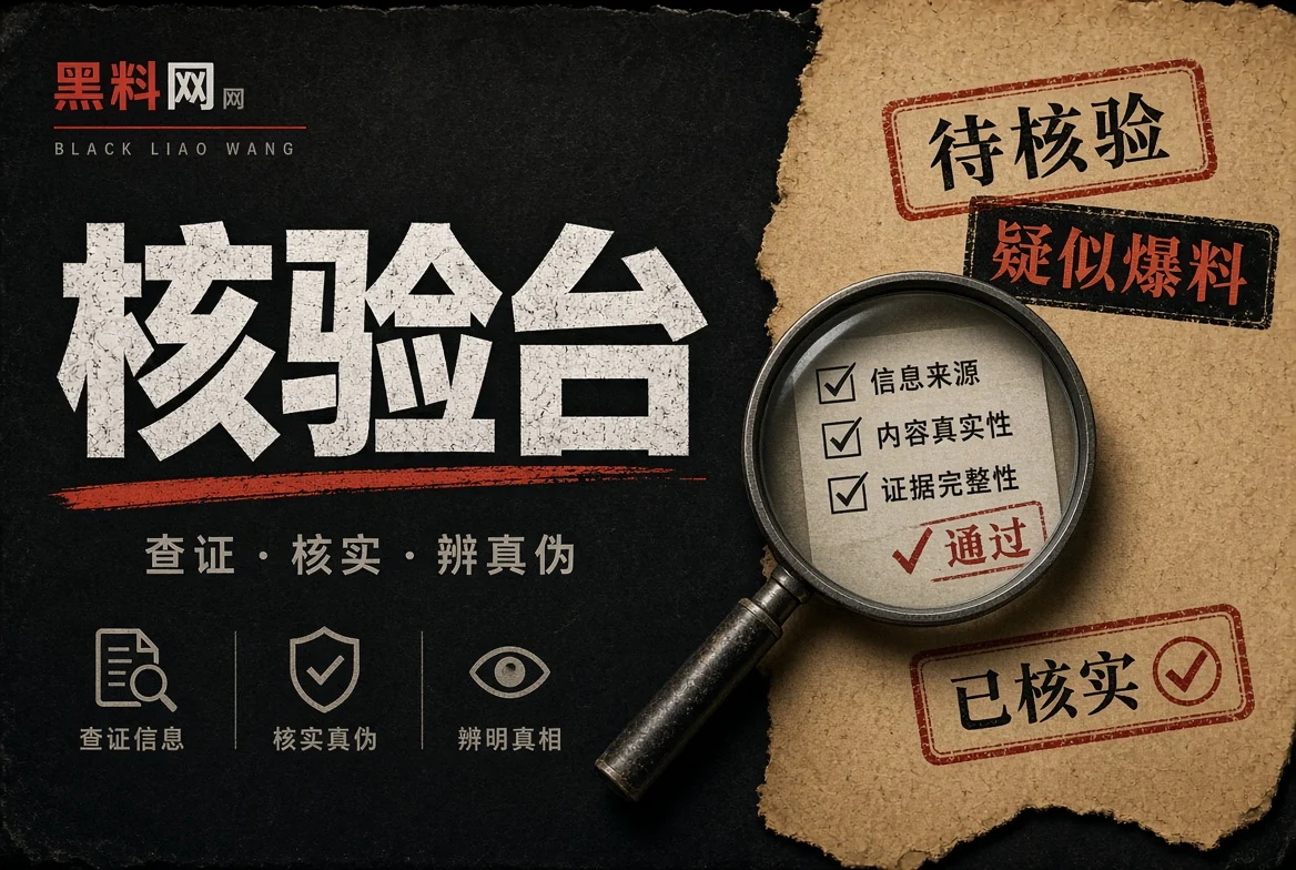 信息核验状态